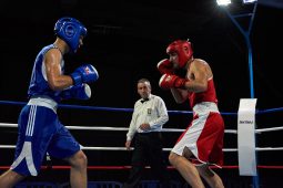 Sport, Boxe
