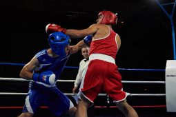 Sport, Boxe