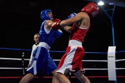 Sport, Boxe