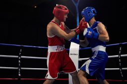 Sport, Boxe