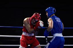 Sport, Boxe