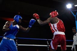 Sport, Boxe
