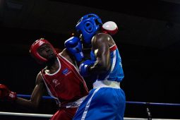 Sport, Boxe