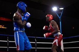 Sport, Boxe