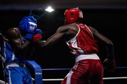 Sport, Boxe