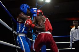 Sport, Boxe