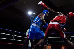 Sport, Boxe