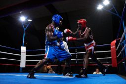 Sport, Boxe