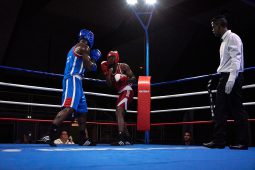 Sport, Boxe