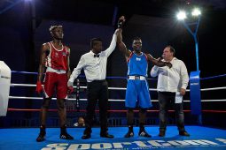 Sport, Boxe