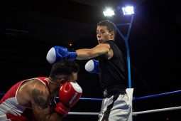 Sport, Boxe