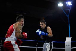 Sport, Boxe