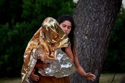 Cie Les compagnons butineurs, Spectacle