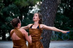 Cie Les compagnons butineurs, Spectacle