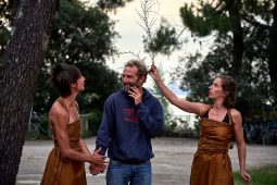 Cie Les compagnons butineurs, Spectacle