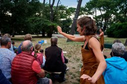 Cie Les compagnons butineurs, Spectacle