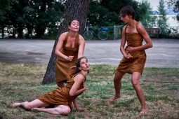 Cie Les compagnons butineurs, Spectacle