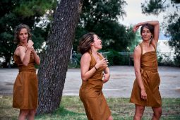 Cie Les compagnons butineurs, Spectacle