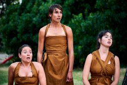 Cie Les compagnons butineurs, Spectacle