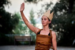 Cie Les compagnons butineurs, Spectacle