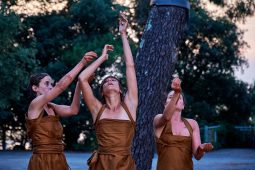 Cie Les compagnons butineurs, Spectacle