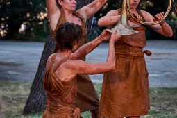 Cie Les compagnons butineurs, Spectacle