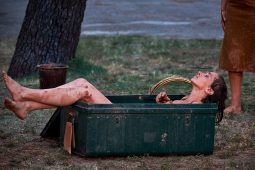 Cie Les compagnons butineurs, Spectacle