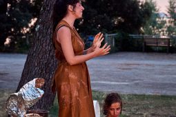Cie Les compagnons butineurs, Spectacle