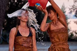 Cie Les compagnons butineurs, Spectacle