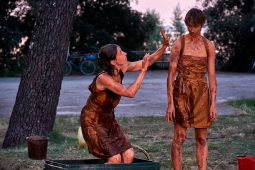 Cie Les compagnons butineurs, Spectacle