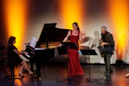 Concert, Sandy Plissonneau & Cie