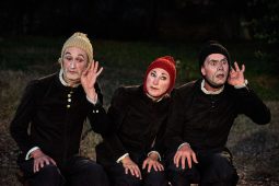 Cie Bruitquicourt, Spectacle
