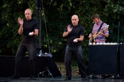 Cie Poc, Spectacle