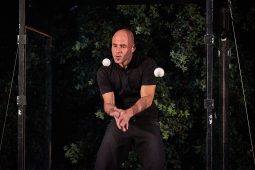 Cie Poc, Spectacle