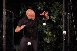 Cie Poc, Spectacle
