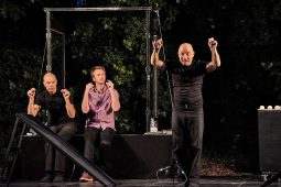 Cie Poc, Spectacle