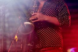 Concert, Tankus the Henge