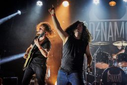 Concert, Rock en Chaumes, Dynamo