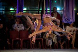 Les Z'Envolées, Spectacle