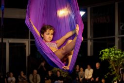 Les Z'Envolées, Spectacle