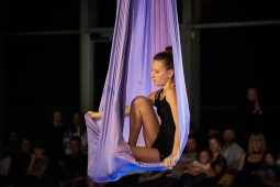 Les Z'Envolées, Spectacle