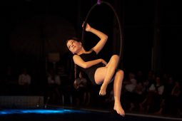 Les Z'Envolées, Spectacle