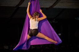 Les Z'Envolées, Spectacle