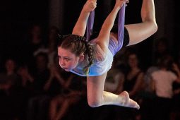 Les Z'Envolées, Spectacle