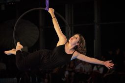 Les Z'Envolées, Spectacle