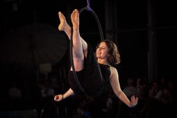 Les Z'Envolées, Spectacle