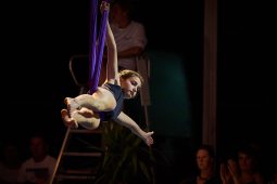 Les Z'Envolées, Spectacle