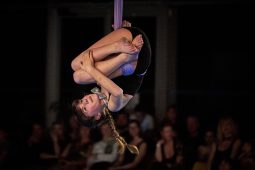 Les Z'Envolées, Spectacle