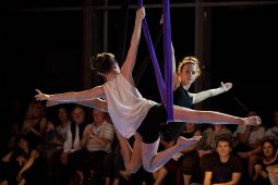 Les Z'Envolées, Spectacle