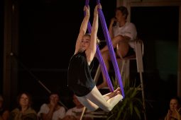 Les Z'Envolées, Spectacle
